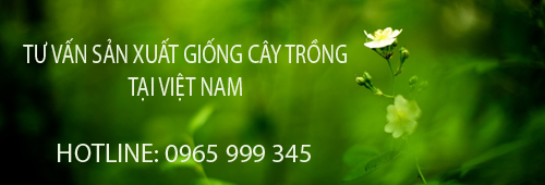 Điều kiện đăng ký kinh doanh sản xuất giống cây trồng tại Việt Nam